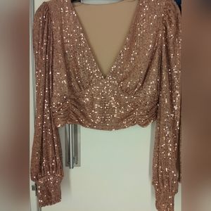NEVER WORN! Pink sequin long sleeve crop top.